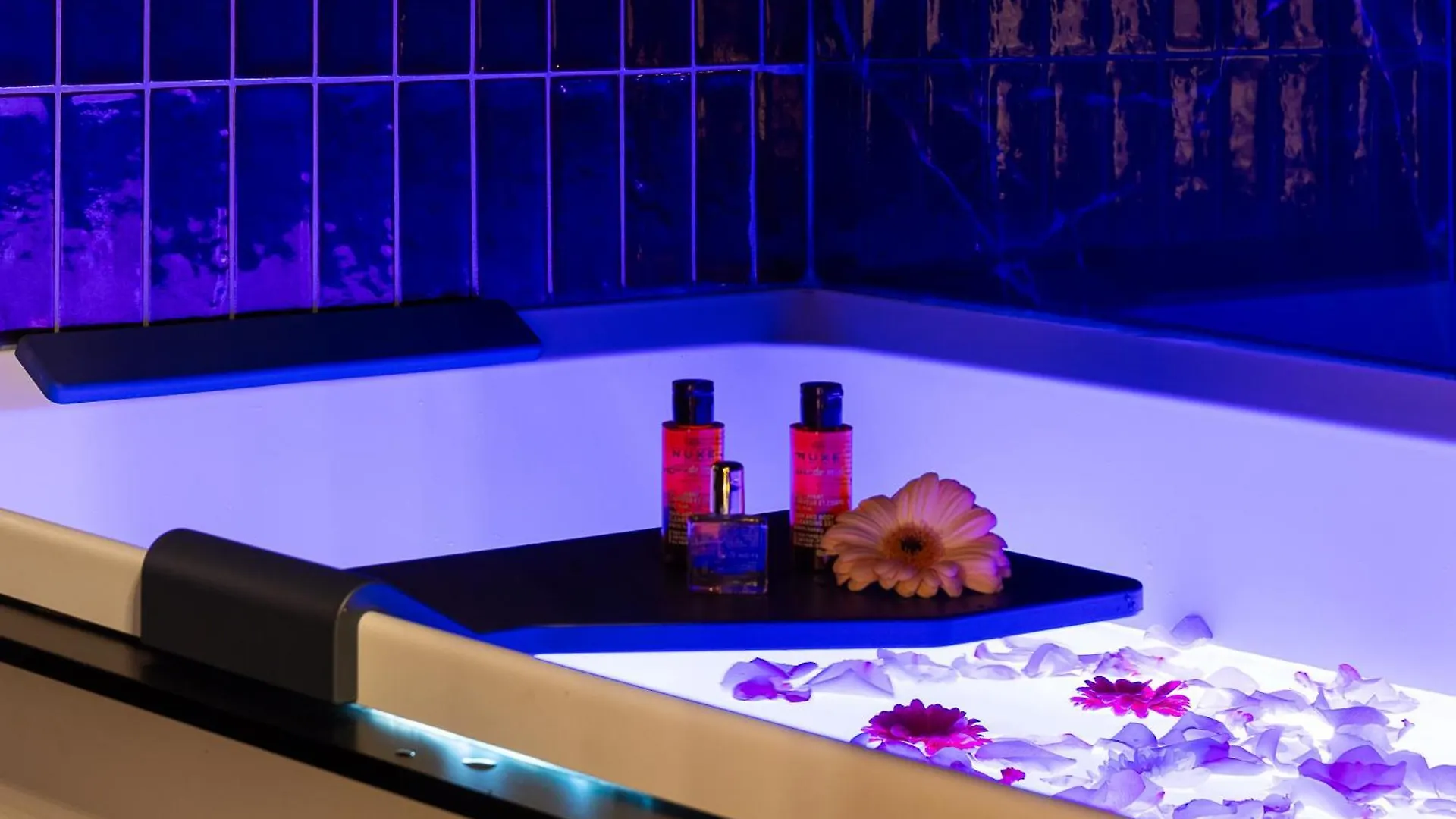 Host Inn Bien-Etre Spa Jacuzzi Downtown Lyon Daire
